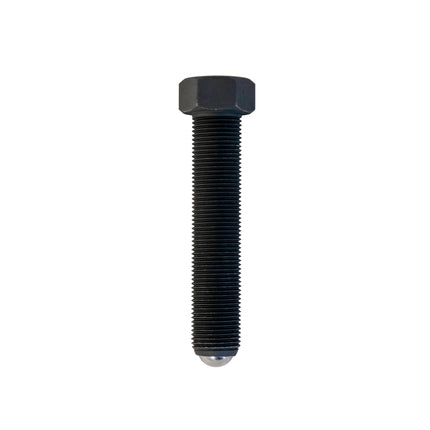 Replacement screw