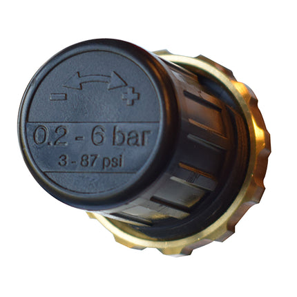 343001V2-03 - Regulator 6 Bar