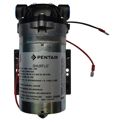 343001V2-10 - Replacement Pump