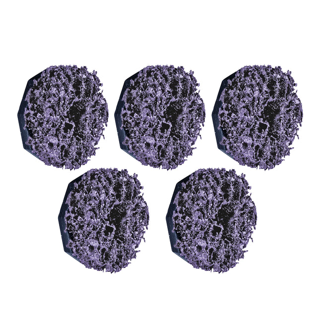 66198200 - Rough Spare Discs for 66198000 (5pc)