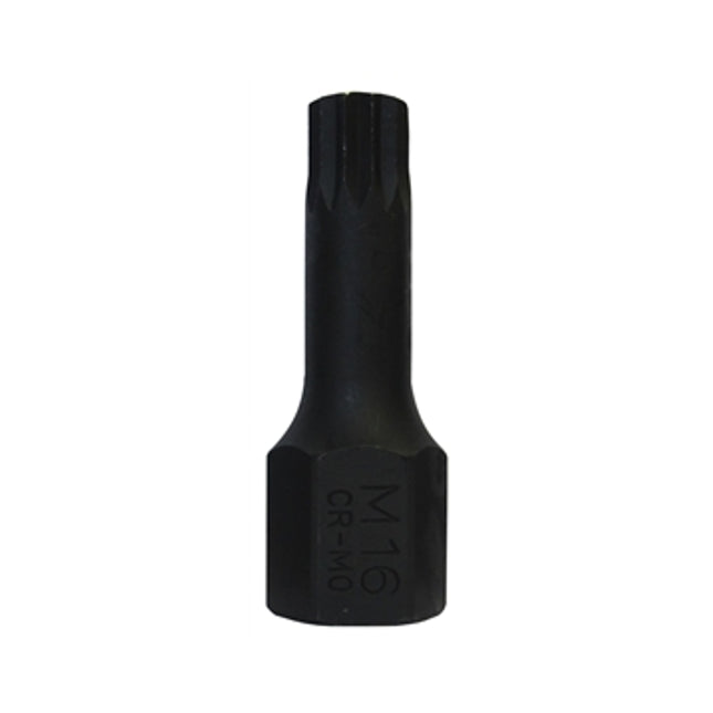 03662600 - Spline Socket M16 x 75mm